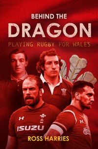Behind the Dragon - Ross Harries - ebook