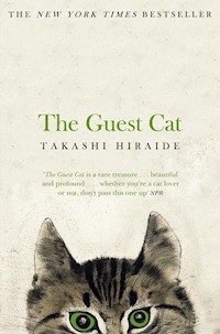 The Guest Cat - Takashi Hiraide - książka