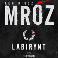 Labirynt - Remigiusz Mróz - ebook + audiobook + książka