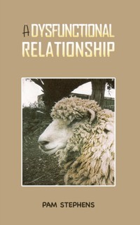 A Dysfunctional Relationship - Pam Stephens - ebook