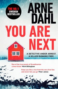 You Are Next - Dahl Arne - książka