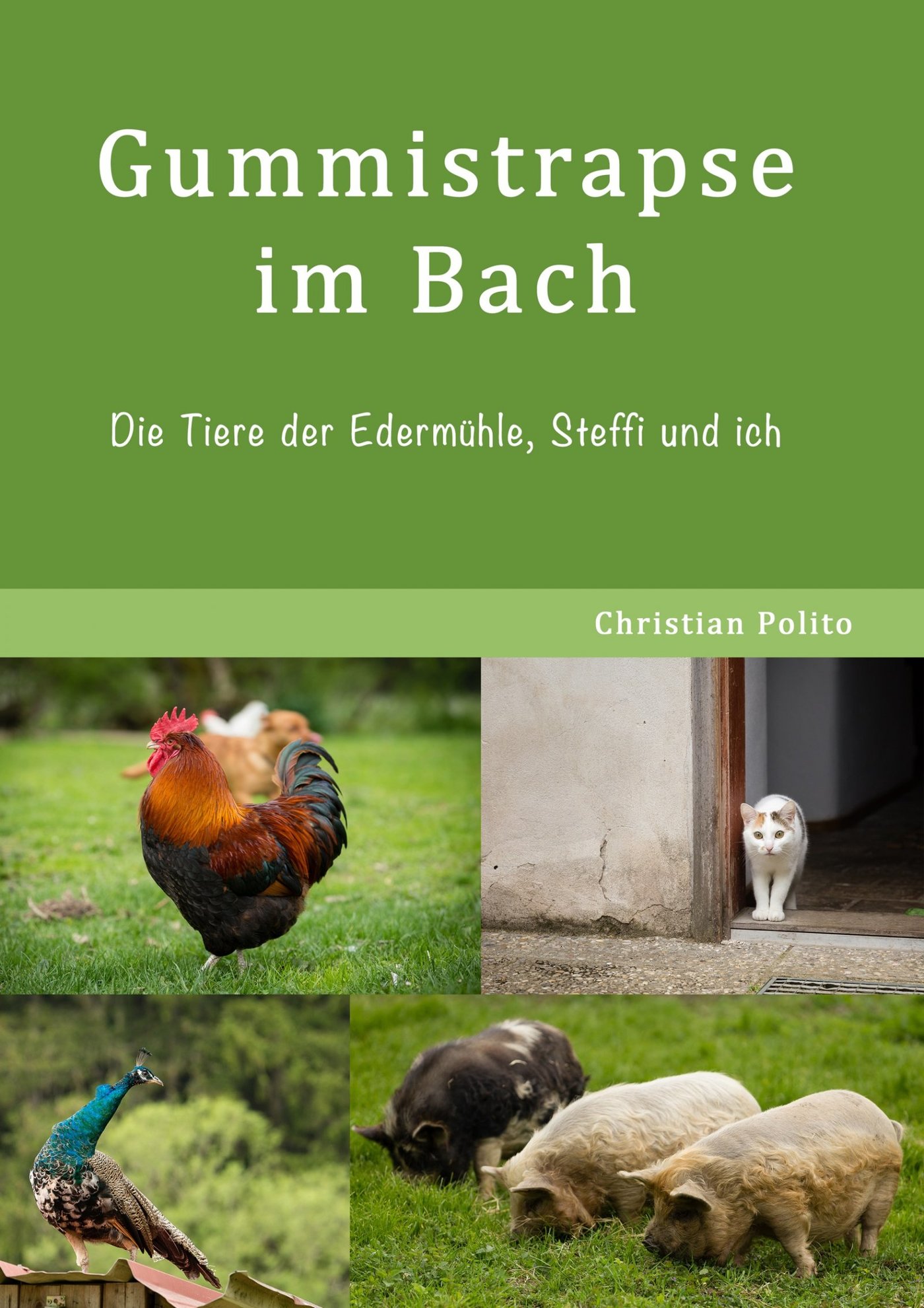 Gummistrapse im Bach - Christian Polito - ebook