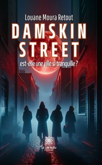 Damskin street est-elle une ville si tranquille ? - Louane Moura Retout - ebook