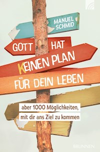 Gott hat keinen Plan für dein Leben - Manuel Schmid - ebook