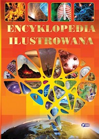 Encyklopedia Ilustrowana -  - książka