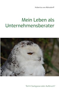 Mein Leben als Unternehmensberater - Hubertus von Abinsdorff - ebook