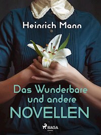 Das Wunderbare und andere Novellen - Heinrich Mann - ebook