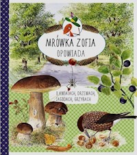Mrówka Zofia opowiada o kwiatach drzewach jagodach grzybach - Casta Stefan, Mossberg Bo - książka