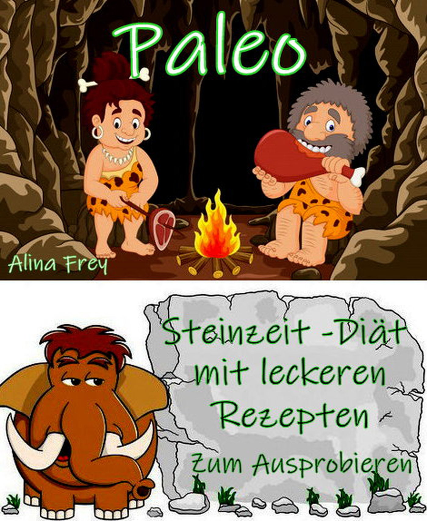 Paleo - die Steinzeit-Diät - Alina Frey - ebook