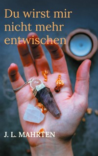 Du wirst mir nicht mehr entwischen - J. L. Mahrten - ebook