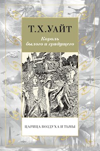 Царица Воздуха и Тьмы - Т. Х. Уайт - ebook