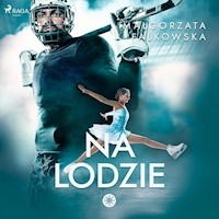Na lodzie - Falkowska  Małgorzata - ebook + audiobook + książka