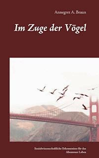 Im Zuge der Vögel - Annegret A. Braun - ebook