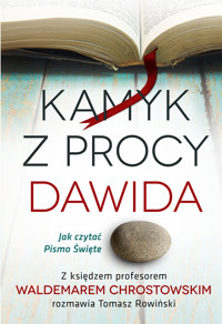 Kamyk z procy Dawida. Jak czytać Pismo Święte - Ks. Waldemar Chrostowski, Tomasz Rowiński - ebook