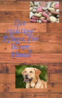 Die richtige Pflege für Ihren Hund - Andre Sternberg - ebook