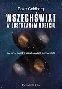 Wszechświat w lustrzanym odbiciu - Dave Golberg - książka