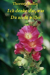 Ich denke das, was Du nicht willst - Thorsten Redlin - ebook