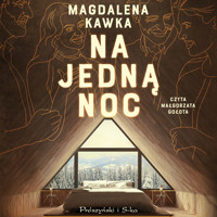 Na jedną noc - Magdalena Kawka - ebook + audiobook + książka