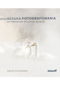 Sztuka fotografowania. 60 pomysłów na lepsze zdjęcia (przepakowanie 2) - David DuChemin - książka