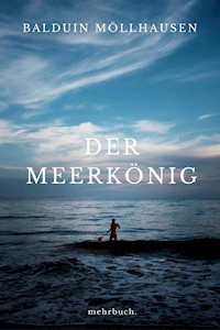 Der Meerkönig - Balduin Möllhausen - ebook
