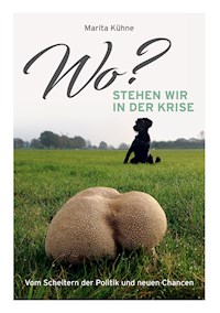 Wo? stehen wir in der Krise - Marita Kühne - ebook