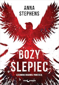 Boży ślepiec - Anna Stephens - ebook