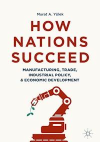 How Nations Succeed: Manufacturing, Trade, Industrial Policy, and Economic Development - Murat A. Yülek - ebook
