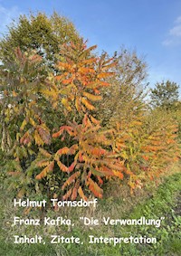 Franz Kafka, "Die Verwandlung" - Inhalt, Zitate, Interpretation - Helmut Tornsdorf - ebook