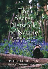 The Secret Network of Nature - Peter Wohlleben - książka