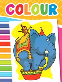 Colour Obrazki zoo - zbiorowa praca - książka