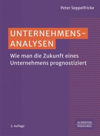 Unternehmensanalysen - Peter Seppelfricke - ebook