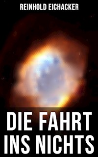 Die Fahrt ins Nichts - Reinhold Eichacker - ebook