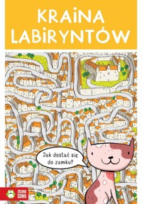 Kraina labiryntów -  - książka
