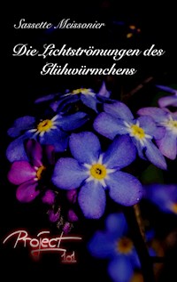 Die Lichtströmungen des Glühwürmchens - Sassette Meissonier - ebook