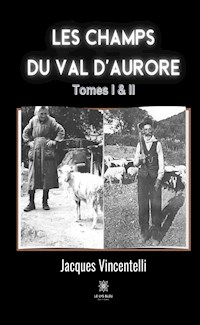 Les champs du Val d’aurore - Tome 1 & 2 - Jacques Vincentelli - ebook