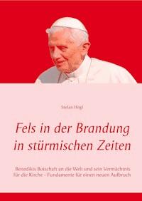 Fels in der Brandung in stürmischen Zeiten - Stefan Högl - ebook