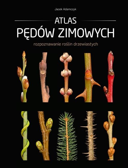 Atlas pędów zimowych - Adamczyk Jacek - książka