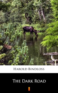 The Dark Road - Harold Bindloss - ebook