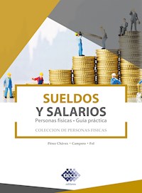Sueldos y salarios. Personas físicas. Guía práctica 2019 - José Pérez Chávez - ebook