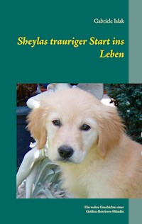 Sheylas trauriger Start ins Leben - Gabriele Islak - ebook