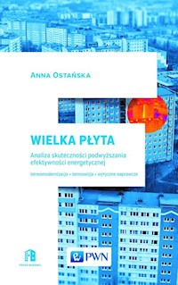 Wielka Płyta. Analiza skuteczności podwyższania efektywności energetycznej - Ostańska Anna - książka