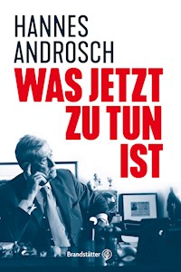 Was jetzt zu tun ist - Hannes Androsch - ebook