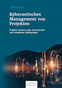 Kybernetisches Management von Projekten - Philipp Oleinek - ebook