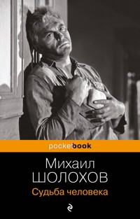 Судьба человека - Sholokhov Mikhail - ebook