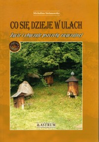 Co się dzieje w ulach - Stefanowska Michalina - książka