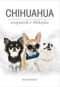 Chihuahua wojownik z Meksyku - Marta Paszkiewicz - książka