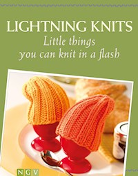 Lightning Knits - Roswitha Sanchez Ortega - ebook