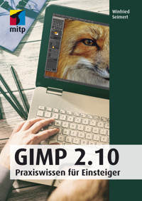 GIMP 2.10 - Winfried Seimert - ebook