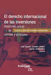 El derecho internacional de las inver*ones. Desarrollo actual de normas y principios - José Manuel Álvarez Zárate - ebook