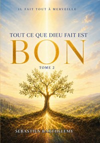 Tout ce que Dieu fait est Bon - Sébastien Barthelemy - ebook